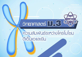 ความสัมพันธ์ระหว่างโครโมโซม ดีเอ็นเอ และยีน พารามิเตอร์รูปภาพ 1