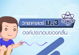 องค์ประกอบของคลื่น รูปภาพ 1