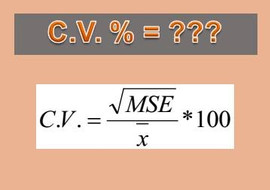 C.V.% หมายถึงอะไร รูปภาพ 1