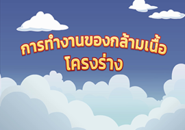 แอนิเมชัน : กล้ามเนื้อหดตัว พารามิเตอร์รูปภาพ 1