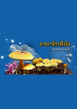 e-book : อาณาจักรฟังไจ