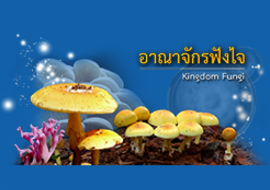 e-book : อาณาจักรฟังไจ รูปภาพ 1