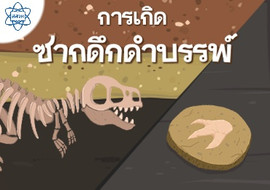 Animation การเกิดซากดึกดำบรรพ์ รูปภาพ 1