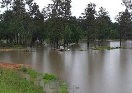 พายุฝนสู่อุทกภัยน้ำท่วมในประเทศไทย รูปภาพ 1