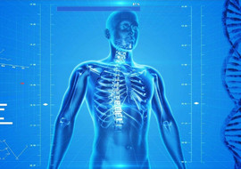 Human Augmentation ปรับขีดความสามารถของมนุษย์ พารามิเตอร์รูปภาพ 1