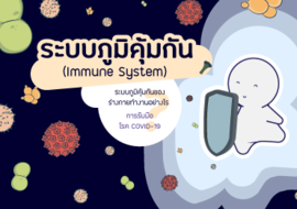 ระบบภูมิคุ้มกัน พารามิเตอร์รูปภาพ 1