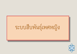 แอนิเมชัน : ระบบสืบพันธุ์เพศหญิง พารามิเตอร์รูปภาพ 1