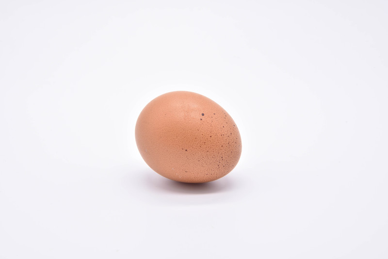 ชีววิทยา - ไข่ไก่ ชีววิทยา - ไข่ไก่