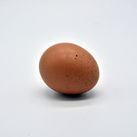 ไข่ไก่ รูปภาพ 2