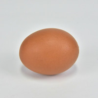 ไข่ต้ม รูปภาพ 1