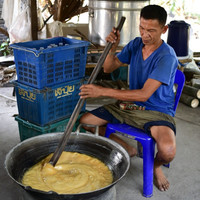 ตาลโตนด พารามิเตอร์รูปภาพ 45
