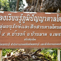 ตาลโตนด พารามิเตอร์รูปภาพ 53
