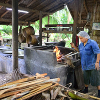 น้ำตาลมะพร้าว พารามิเตอร์รูปภาพ 101