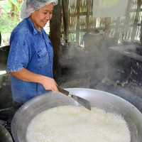น้ำตาลมะพร้าว พารามิเตอร์รูปภาพ 114
