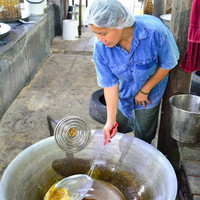 น้ำตาลมะพร้าว พารามิเตอร์รูปภาพ 119