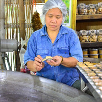 น้ำตาลมะพร้าว พารามิเตอร์รูปภาพ 132