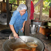 น้ำตาลมะพร้าว พารามิเตอร์รูปภาพ 34