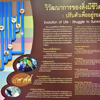 พิพิธภัณฑ์สิรินธร พารามิเตอร์รูปภาพ 7