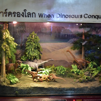 พิพิธภัณฑ์สิรินธร พารามิเตอร์รูปภาพ 12