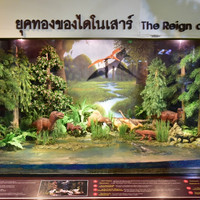 พิพิธภัณฑ์สิรินธร พารามิเตอร์รูปภาพ 13