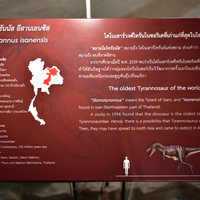 พิพิธภัณฑ์สิรินธร พารามิเตอร์รูปภาพ 16