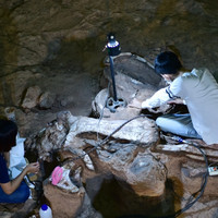พิพิธภัณฑ์สิรินธร พารามิเตอร์รูปภาพ 42