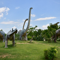 พิพิธภัณฑ์สิรินธร พารามิเตอร์รูปภาพ 54