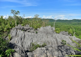 ภูเขาหินปะการัง รูปภาพ 1