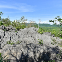 ภูเขาหินปะการัง รูปภาพ 1