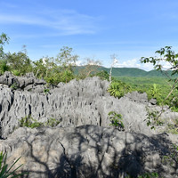 ภูเขาหินปะการัง พารามิเตอร์รูปภาพ 1
