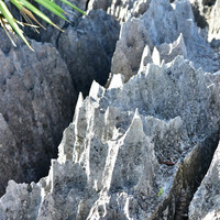 ภูเขาหินปะการัง รูปภาพ 3