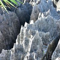 ภูเขาหินปะการัง พารามิเตอร์รูปภาพ 3