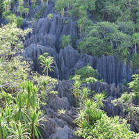 ภูเขาหินปะการัง รูปภาพ 6