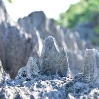 ภูเขาหินปะการัง พารามิเตอร์รูปภาพ 9