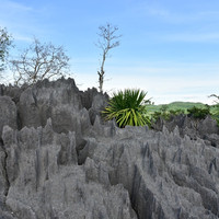 ภูเขาหินปะการัง รูปภาพ 12