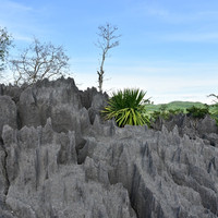 ภูเขาหินปะการัง พารามิเตอร์รูปภาพ 12