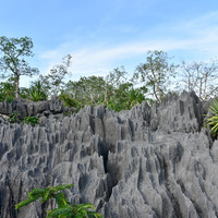 ภูเขาหินปะการัง รูปภาพ 13