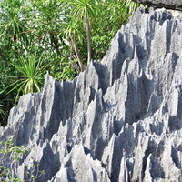 ภูเขาหินปะการัง พารามิเตอร์รูปภาพ 14