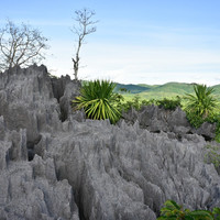 ภูเขาหินปะการัง พารามิเตอร์รูปภาพ 16