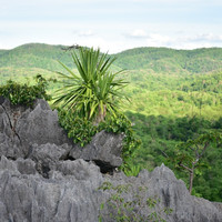 ภูเขาหินปะการัง พารามิเตอร์รูปภาพ 17