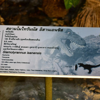 พิพิธภัณฑ์ไดโนเสาร์ภูเวียง รูปภาพ 3