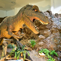 พิพิธภัณฑ์ไดโนเสาร์ภูเวียง รูปภาพ 4