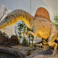พิพิธภัณฑ์ไดโนเสาร์ภูเวียง รูปภาพ 5