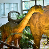 พิพิธภัณฑ์ไดโนเสาร์ภูเวียง รูปภาพ 7