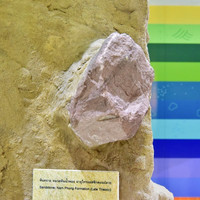 พิพิธภัณฑ์ไดโนเสาร์ภูเวียง พารามิเตอร์รูปภาพ 24