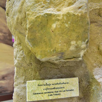 พิพิธภัณฑ์ไดโนเสาร์ภูเวียง พารามิเตอร์รูปภาพ 33