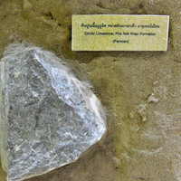 พิพิธภัณฑ์ไดโนเสาร์ภูเวียง พารามิเตอร์รูปภาพ 28