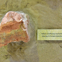 พิพิธภัณฑ์ไดโนเสาร์ภูเวียง รูปภาพ 37