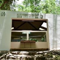 พิพิธภัณฑ์ไดโนเสาร์ภูเวียง พารามิเตอร์รูปภาพ 39