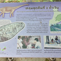 พิพิธภัณฑ์ไดโนเสาร์ภูเวียง พารามิเตอร์รูปภาพ 47